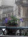 rain-window-4-by-marceline.jpg
